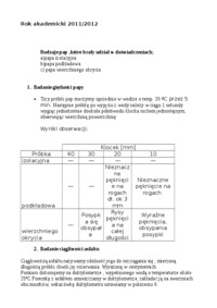 sprawozdanie z pap i lepiszczy bitumicznych