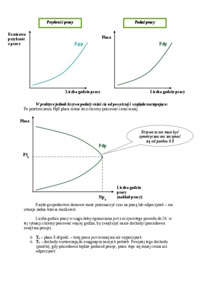rynek-pracy-wyklad-elastycznosc-podazy-pracy