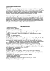 Wykład - fermentacja glukonowa