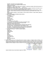 Bezpieczeństwo Pracy i Ergonomia - skrócony wykaz pojęć