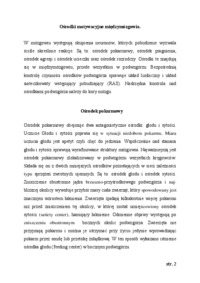 osrodki-motywacyjne-miedzymozgowia