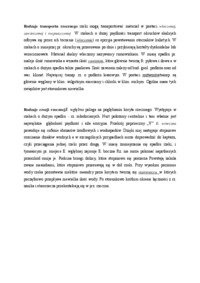 Rodzaje transportu rzecznego, Rodzaje erozji rzecznej