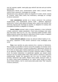 Wykład - zasady rozplanowania na planie wysokościowym