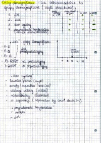 Statystyka - wykład