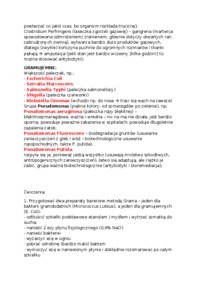 Barwienie bakterii- laboraorium 7