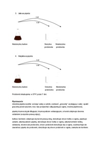 Sterylizacja- laboratorium 1
