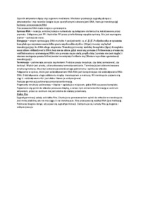 polimerazy-opracowanie