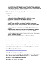 new-public-management