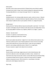 rozwoj-prenatalny-czlowieka-omowienie