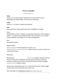 wrotycz-pospolity-wyklad