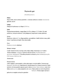 zielnik -Pięciornik złoty i pięciornik gęsi