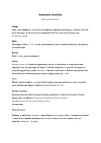 zielnik-rumianek-pospolity