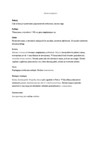 zielnik -Starzec górski i starzec zwyczajny