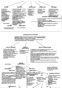 Protista - omówienie 