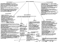 Stawonogi - omówienie 