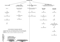 Układ krążenia - omówienie 