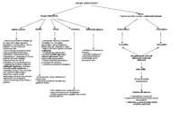 Układ oddechowy - omówienie 