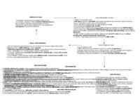 Układ rozrodczy - omówienie 