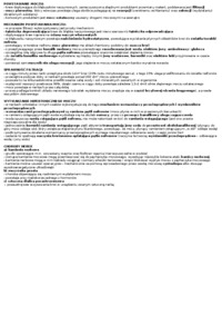 Układ wydalniczy - omówienie 