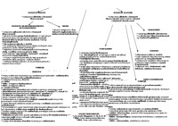 Związki organiczne komórki - cukry i tłuszcze