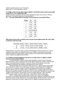 Projekt analiza i ocena stanu zanieczyszczenia nikiel i cynk