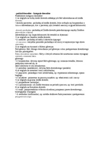 podział dowodów - omówienie 