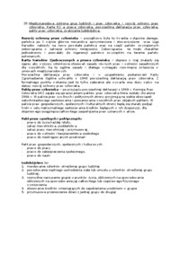 Międzynarodowa ochrona grup ludzkich i praw człowieka - omówienie