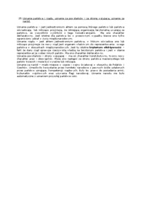 Uznanie państwa i rządu, uznanie za powstańców