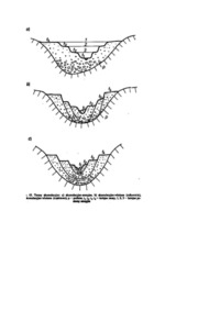 Powstawanie tarasów akumulacyjno włożonych  - omówienie 