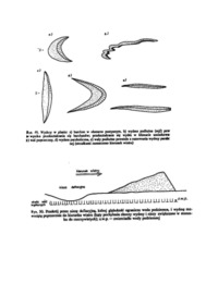 Rodzaje działalności wiatru i ich charakterystyka