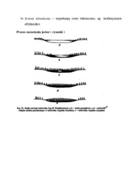 Typy genetyczne jezior na obszarze Polski - omówienie 