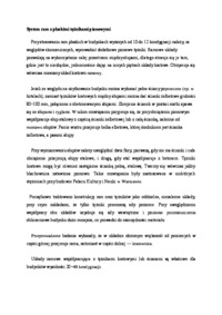 System ram z płaskimi tężnikami pionowymi - omówienie 