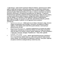 legitymizacja-opracowanie