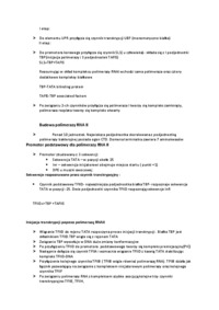 Wykład - transkrypcja u eukariota