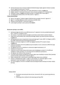 Wykład - dojrzewanie u eukariota