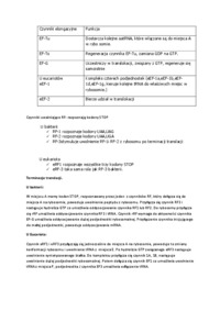 Wykład - elongacja translacji