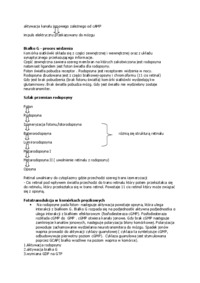 Wykład - wtórne przekaźniki