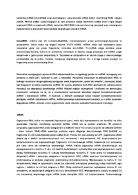 Wykład - degradacja mRNA