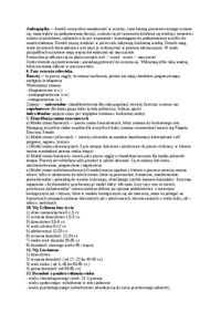 andragogika - fazy życia wg Eriksona i Lewinsona