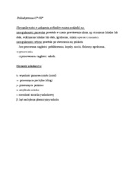 poklad-i-jego-elementy-omowienie