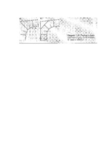 Żebra usztywniające środnik - wykład