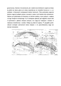 Łuki i przestrzenne kratownice w halach - wykład