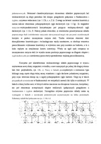 Poprzeczne układy nośne - wykład