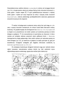 wymiary-geometryczne-ukladow-hal-slupowo-kratowych-wyklad