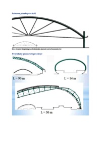 przekrycia-duzych-rozpietosci-opracowanie