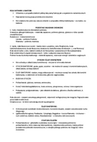 Schemat budowy komórki procaryota-opracowanie