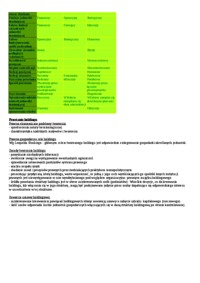 Struktury holdingowe-opracowanie