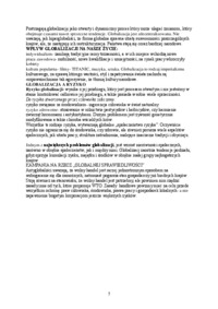 globalizacja-opracowanie-spoleczenstwo-ryzyka