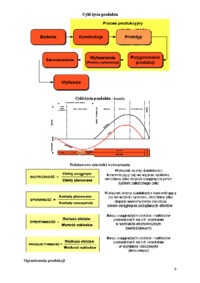 Proces technologiczny-opracowanie - Przedsiębiorstwo