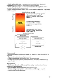 Symulacja-opracowanie